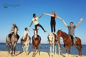 Horseback riding with swimming in the sea